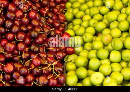Prima angolazione close-up di ciliegie rosse dolci fresche e mature e prugne verdi (can erik) posizionate una accanto all'altra su un bancone di un mercato locale della frutta. Foto Stock