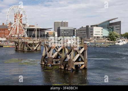 Cardiff Bay, veduta generale che include il Senedd, l'edificio Pierhead e la ruota panoramica Foto Stock