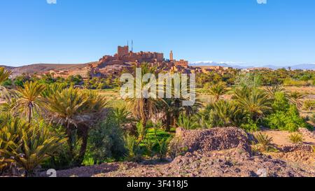 I visitatori possono vedere la Kasbah di Tifoultoute in piedi su una collina. La fortezza ha vecchi edifici ed è circondata dalla vegetazione. Il sole splende luminoso sull'oasi con le palme sottostanti. Foto Stock