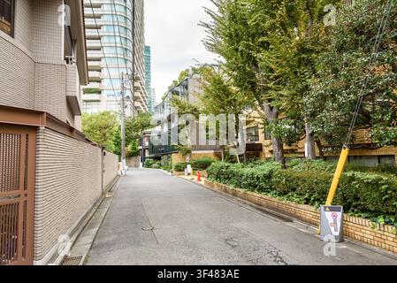 Via deserta fiancheggiata da edifici residenziali in un quartiere residenziale in una giornata autunnale nuvolosa Foto Stock