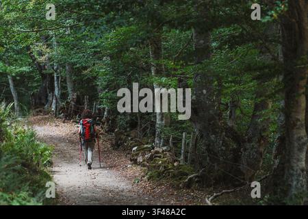 Escursionista con zaino e bastoncini da trekking cammina lungo un sentiero montano ombroso nel Somiedo, Asturie, Spagna, godendosi l'avventura all'aperto a na Foto Stock