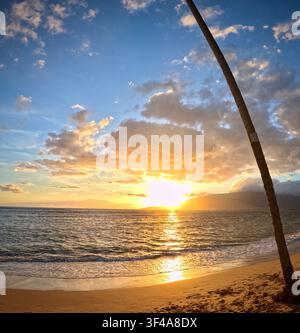 Tramonto sull'Oceano Pacifico a Waipuʻilani Beach, Kihei, Maui, Hawaii, con una palma, nuvole dorate e riflessi sulla riva. Foto Stock