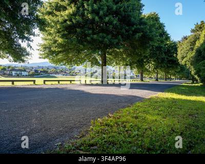 strada, sfondo auto, piastra posteriore automobilistica, tranquilla strada di campagna in ambiente parco fiancheggiata da alberi verdi Foto Stock