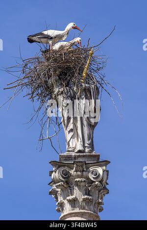Una coppia di cicogne, la cicogna bianca (Ciconia ciconia), è pronta ad accoppiarsi in un nido di cicogna fatto di rametti, nido, appollaiato su una statua della Vergine Maria h Foto Stock