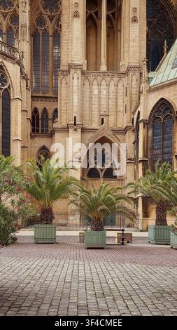 Palme in vaso su una piazza lastricata davanti a una facciata di cattedrale gotica. Palme in vaso su una piazza lastricata davanti alla facciata storica in pietra o Foto Stock