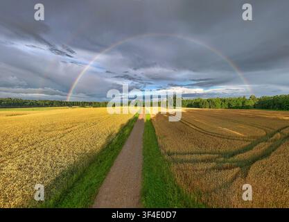 Vista a droni di una strada di campagna che attraversa campi di grano dorati sotto un vivido doppio arcobaleno dopo una tempesta estiva nella municipalità di Limbaži, Lettonia. Foto Stock