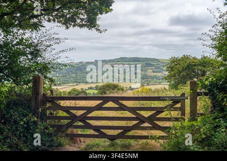 Vista attraverso un cancello di fattoria in legno stagionato verso la vasta campagna verde di Bodmin Moor in Cornovaglia, Regno Unito, in un'estate nuvolosa Foto Stock