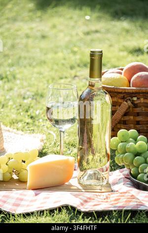 Picnic estivo con vino bianco, formaggio, uva e frutta fresca su una coperta a quadri in un giardino soleggiato Foto Stock
