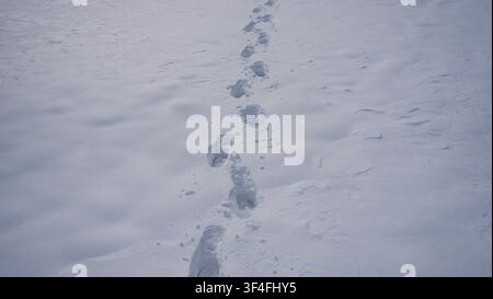 Sentiero innevato per passeggiate. Sentiero invernale. Passi innevati lungo il campo innevato. Impronte sul terreno innevato. Sentiero invernale. Un passo nella neve Foto Stock