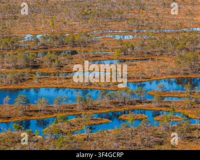 Veduta aerea delle paludi e delle isole di torba del parco nazionale di Kemeri, Lettonia Foto Stock
