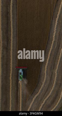 Vista aerea con drone di una mietitrebbia che raccoglie un campo di grano maturo con sorprendenti motivi geometrici durante la raccolta estiva nella campagna britannica Foto Stock