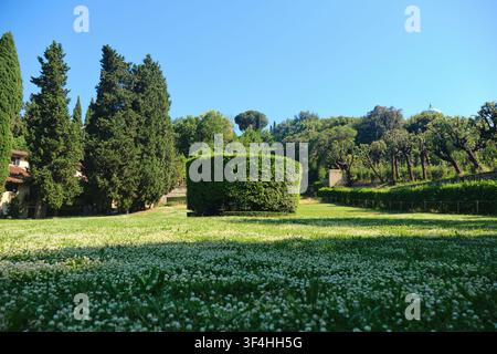 Firenze, Italia - Maggio 2026: Vista prospettica ampia di una siepe curata e di un prato verde nei Giardini di Boboli Foto Stock