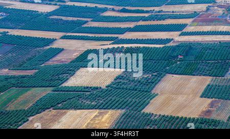 Una vista aerea ad angolo alto mostra file ordinate di frutteti verdi e parcelle raccolte che formano un patchwork di terreno agricolo coltivato vicino a Nea Moudania, Grecia. Foto Stock