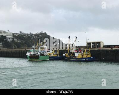 Barche da pesca colorate ormeggiate in un porto sotto un cielo nuvoloso. Torquay, Devon, Regno Unito Foto Stock