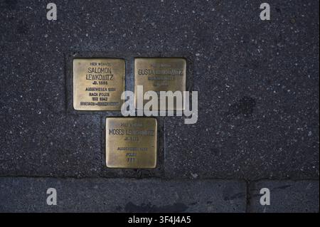 Pietre incassate nei ciottoli ricordano i destini ebraici nella vecchia città di Halle, Schwäbisch Hall, ebraismo, ebreo, Hohenlohe, Germania Foto Stock