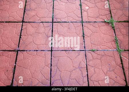 Pietre di pavimentazione in cemento con erba verde che cresce tra le giunture. Il pavimento weathering e la vegetazione selettiva creano una texture urbana naturale, simbolo Foto Stock