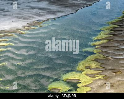 Veduta aerea di paludi di fango strutturate, acqua bassa e chiazze di alghe verdi lungo la riva del fiume a Krcedin, Vojvodina, Serbia. Foto Stock