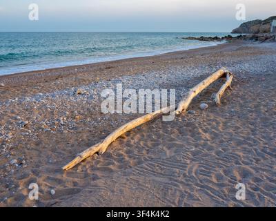 Grande pezzo di legno fluttante patinato sdraiato su una spiaggia sabbiosa e ghiaiosa con onde dolci e un orizzonte blu sotto una luce soffusa. Foto Stock