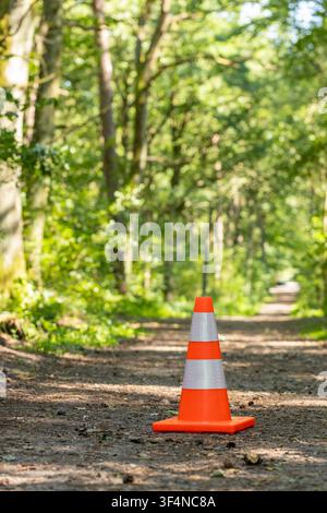 Cono di segnalazione arancione su una strada sterrata nel profondo di una foresta estiva. Concetto di impronta umana sulla natura, gestione forestale, impatto ambientale, industria Foto Stock