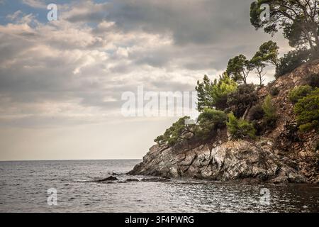 Scogliere mediterranee rocciose e pendici ricoperte di pini si innalzano sul mare alla Presqu'ile de Giens vicino a Hyeres, Francia, sotto nuvole stratificate lungo il Foto Stock