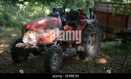 Trattore compatto Mitsubishi MT270D con rimorchio utilitario parcheggiato a Porto, Portogallo Foto Stock
