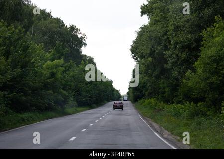 Una strada dritta a due corsie attraversa alberi estivi fitti sotto un cielo luminoso. Un'auto lontana prosegue e le linee che svaniscono attirano i viaggiatori in un Foto Stock