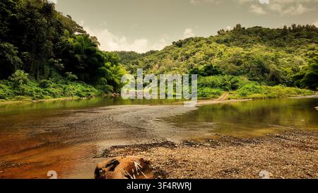 Vista aerea di un fiume che scorre attraverso le rigogliose colline verdi e la vegetazione tropicale di San Sebastian, San Sebastian, Porto Rico. Foto Stock
