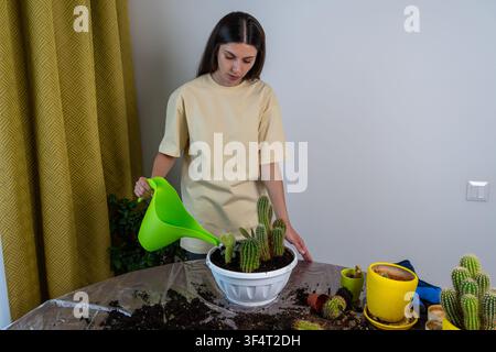 Giovane donna bruna senza guanti usa un annaffiatoio di plastica verde per irrigare cactus domestici appena trapiantati in una ciotola bianca su un tavolo coperto da pellicola Foto Stock