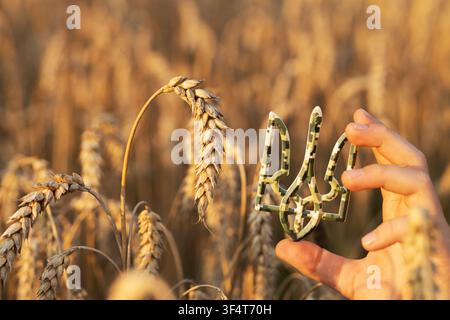 La mano di un bambino tiene un tridente, simbolo nazionale vicino a spighe dorate e mature in un campo di grano. Fermate la guerra. Giorno dei Difensori dell'Ucraina. Giorno dell'Indipendenza. Foto Stock