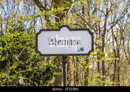 Segnale del parco Ahornsteig nel Tiergarten di Berlino, con caratteri Fraktur tradizionali, Germania Foto Stock