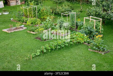 Un letto da giardino senza scavo in un orto domestico, circondato da un prato, con una varietà di verdure e piante che crescono in aiuole rialzate in legno. Foto Stock