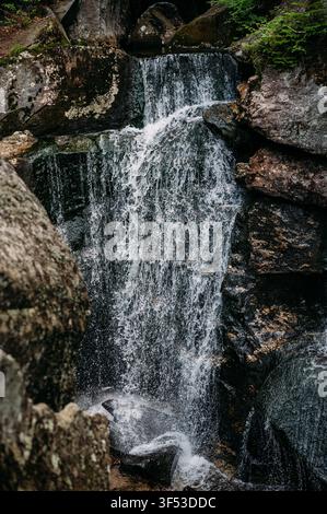 L'acqua cade a cascata su rocce scure nella foresta Foto Stock