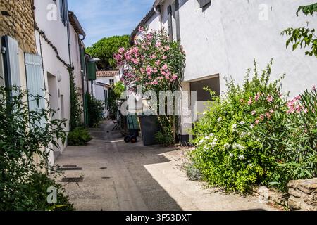 Vicolo stretto con fiori e vegetazione in una città costiera durante un Foto Stock