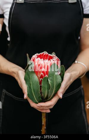 Fiorista lavora con piante in un moderno studio di fiori per la consegna bouquet durante covid-19 Foto Stock