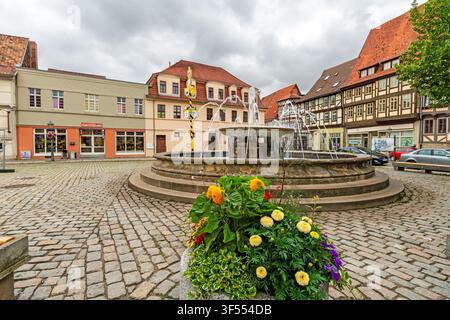 23.07.2026, Quedlinburg, Sassonia-Anhalt, Germania: Fontana e esposizione floreale colorata su una piazza storica nel quartiere di Neustadt. Foto Stock