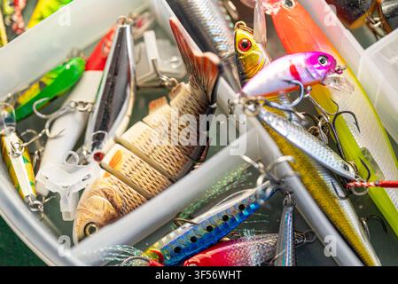 Vista dall'alto di vari esche da pesca luminose conservate in modo sicuro in un vassoio per attrezzi in plastica Foto Stock