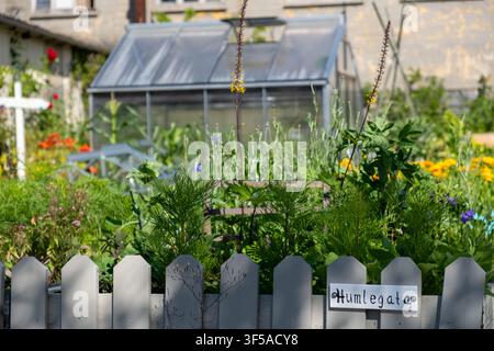 Orto soleggiato con recinzione a graticola, aiuole rialzate e serra a Kristiansund, in Norvegia, perfetto per concetti di vita e giardinaggio sostenibili. Foto Stock