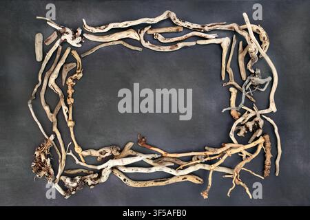 Corona di legna marina, cornice astratta rustica come decorazione su sfondo grigio screziato. Disegno di bordo artistico decorativo di legno organico torto e curvo costiero. Foto Stock