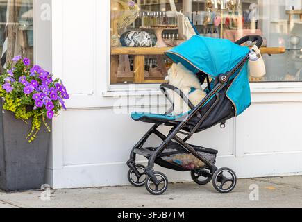 piccolo cane bianco seduto in un passeggino fuori da un negozio su Hampton Street a Southampton, NY Foto Stock