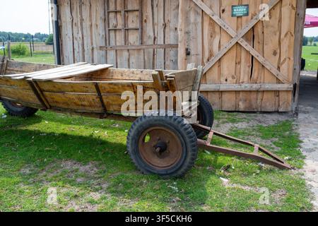 Carro di legno consumato riposa accanto alla porta del fienile. Ruote arrugginite e telaio metallico mostrano un uso intensivo. L'erba verde circonda il carro in un campo aperto. Porta del fienile fe Foto Stock