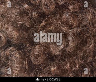 capelli castani ricci in sfondo a quadro intero, ciocche spesse e ondulate e riccioli naturali disordinati in primo piano, concetto di bellezza e cura dei capelli Foto Stock