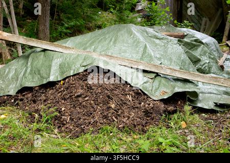 Mucchio di fertilizzante con letame di cavallo per piante da giardino domestico. Un mucchio di fertilizzante sotto il telo aspetta di essere utilizzato in giardino. Foto Stock