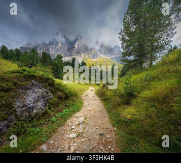 Sentiero escursionistico che conduce alle vette delle montagne tra le nuvole basse Foto Stock