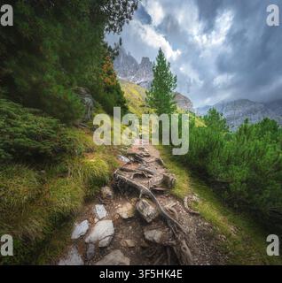 Sentiero escursionistico con radici di alberi e pietre che conduce a picchi rocciosi Foto Stock