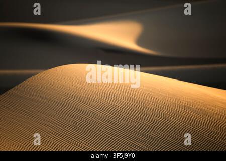 Primo piano di dune di sabbia modellate dal vento nella Death Valley, California, che brillano alla luce calda del tramonto. Paesaggio desertico minimale con increspature, ombre morbide Foto Stock