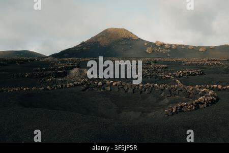 Vigneti di La Geria su cenere vulcanica, Lanzarote, Isole Canarie. Foto Stock