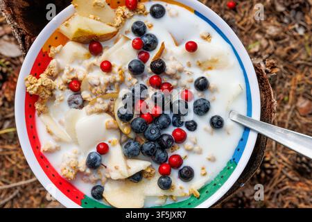 Vista dall'alto di muesli con yogurt, pera, mirtilli e mirtilli rossi serviti in una ciotola colorata sul terreno della foresta Foto Stock