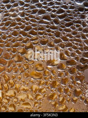 Fotografia digitale in primo piano di gocce di condensa sull'acqua che coprono la parte inferiore di un coperchio di vetro trasparente sopra una pentola di ramen che cuoce a fuoco lento su un fornello. Foto Stock