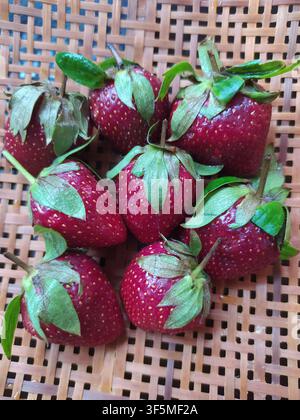 Fragole fresche e mature con foglie verdi disposte in un cesto di bambù intrecciato, vista ravvicinata di frutta biologica sana. Foto Stock