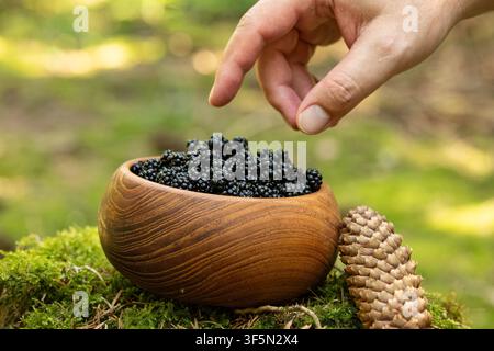 Prima piano di una mano che si allunga per raccogliere fragole selvatiche fresche da una ciotola di legno artigianale posizionata su muschio accanto a una pigna in una foresta soleggiata Foto Stock